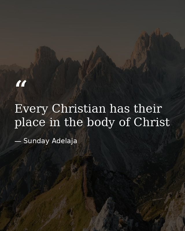 Every Christian has their place in the body of Christ — Sunday Adelaja