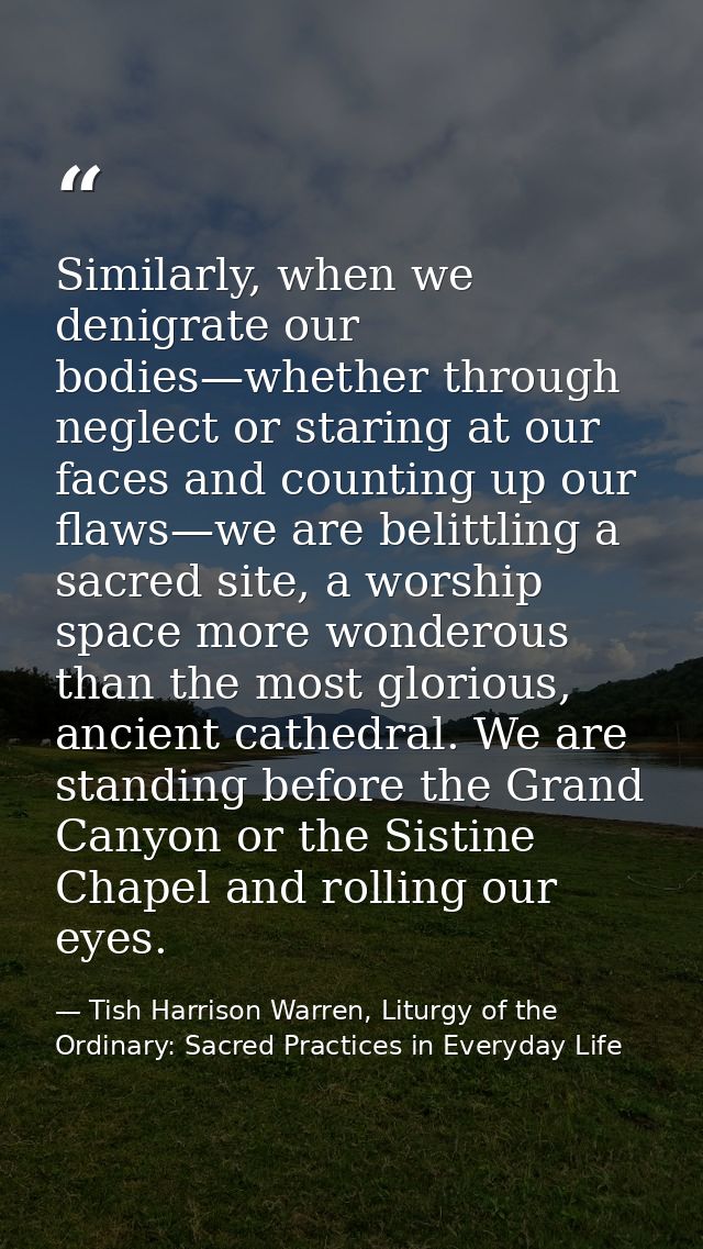 Similarly, when we denigrate our bodies—whether through neglect or staring at our faces and counting up our flaws—we are — Tish Harrison Warren, Liturgy of the Ordinary: Sacred Practices in Everyday Life