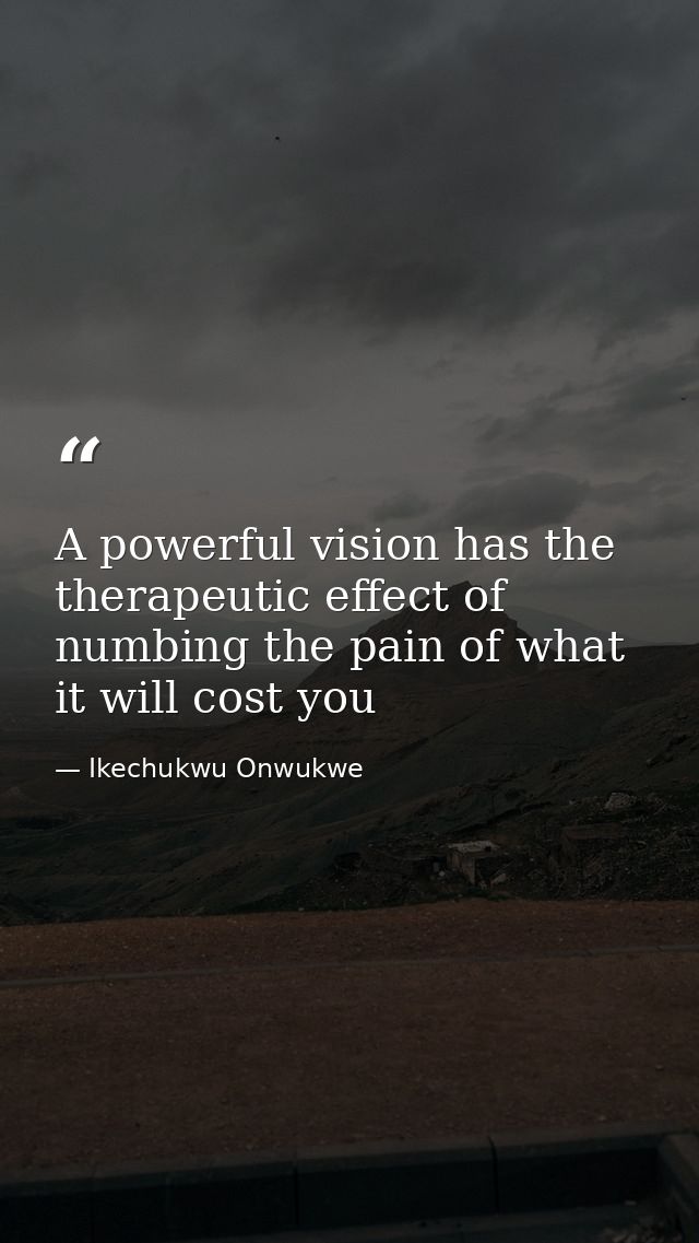 A powerful vision has the therapeutic effect of numbing the pain of what it will cost you — Ikechukwu Onwukwe