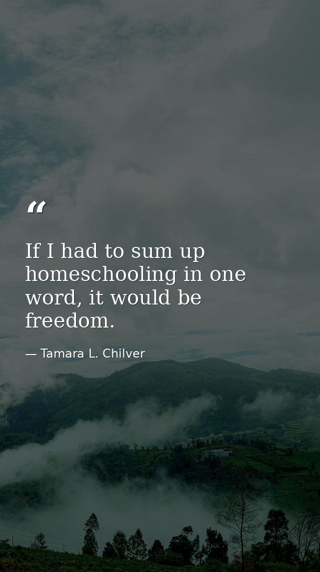 If I had to sum up homeschooling in one word, it would be freedom. — Tamara L. Chilver