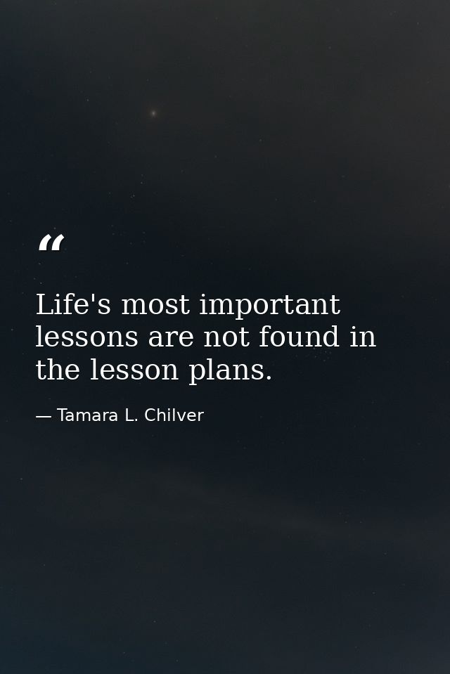 Life's most important lessons are not found in the lesson plans. — Tamara L. Chilver