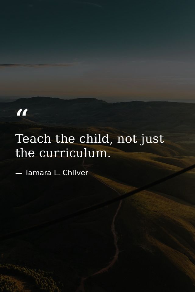 Teach the child, not just the curriculum. — Tamara L. Chilver