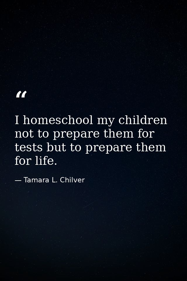 I homeschool my children not to prepare them for tests but to prepare them for life. — Tamara L. Chilver