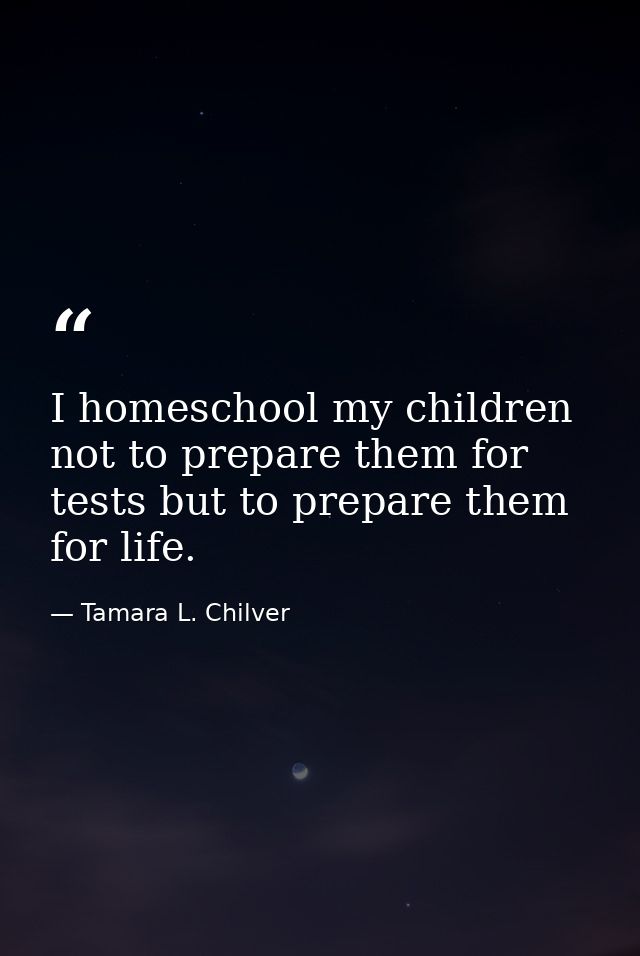 I homeschool my children not to prepare them for tests but to prepare them for life. — Tamara L. Chilver