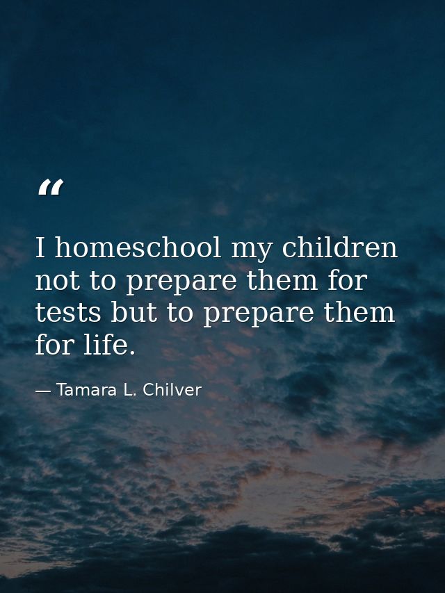 I homeschool my children not to prepare them for tests but to prepare them for life. — Tamara L. Chilver