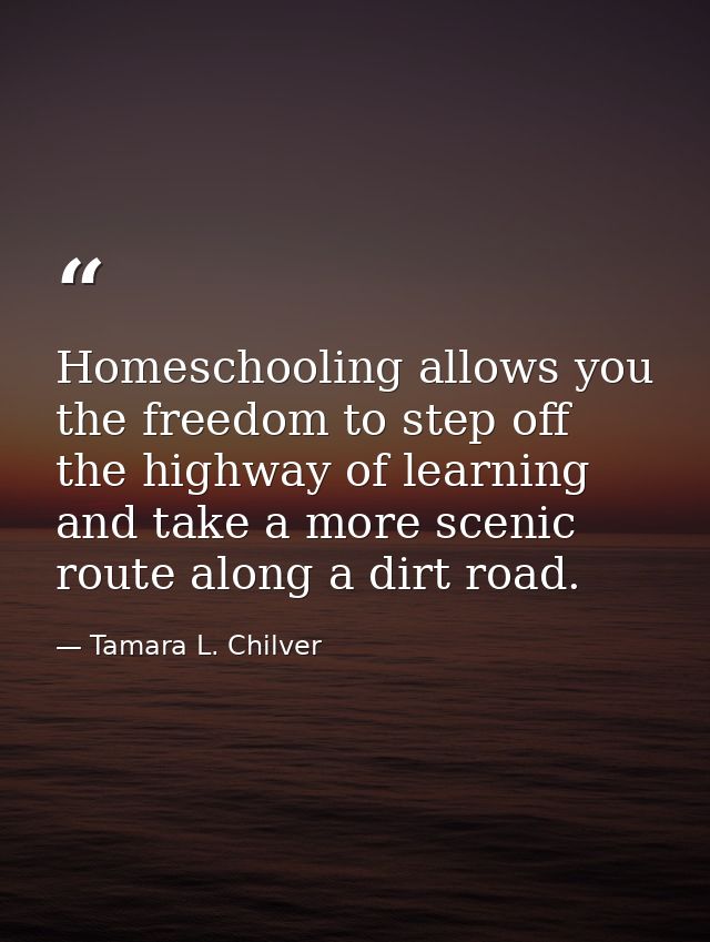 Homeschooling allows you the freedom to step off the highway of learning and take a more scenic route along a dirt road. — Tamara L. Chilver