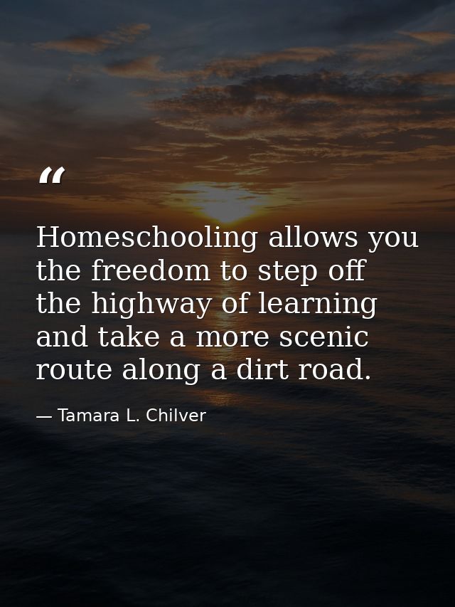 Homeschooling allows you the freedom to step off the highway of learning and take a more scenic route along a dirt road. — Tamara L. Chilver