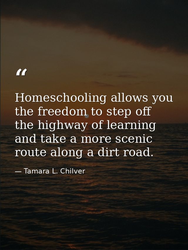 Homeschooling allows you the freedom to step off the highway of learning and take a more scenic route along a dirt road. — Tamara L. Chilver