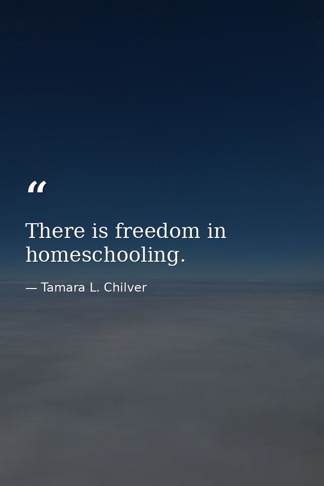 There is freedom in homeschooling. — Tamara L. Chilver