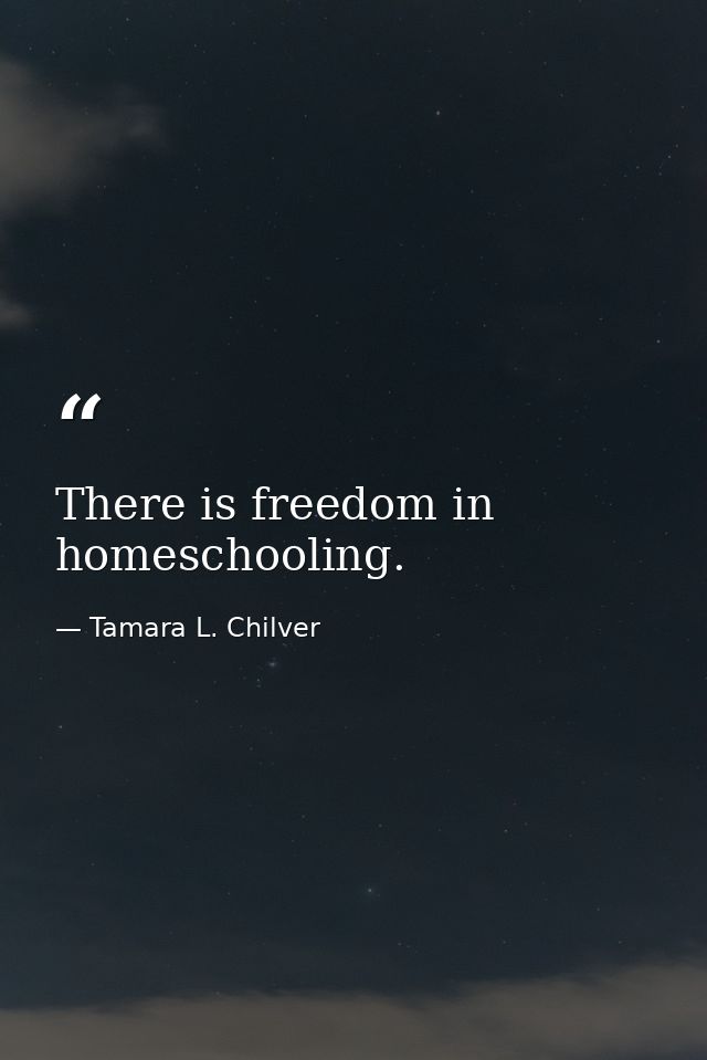 There is freedom in homeschooling. — Tamara L. Chilver