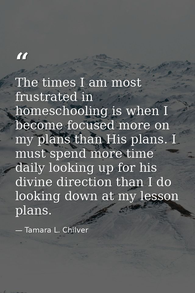 The times I am most frustrated in homeschooling is when I become focused more on my plans than His plans. I must spend m — Tamara L. Chilver