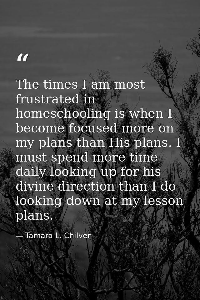 The times I am most frustrated in homeschooling is when I become focused more on my plans than His plans. I must spend m — Tamara L. Chilver