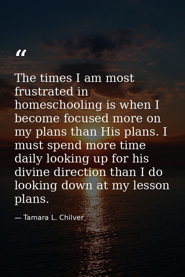 The times I am most frustrated in homeschooling is when I become focused more on my plans than His plans. I must spend m — Tamara L. Chilver