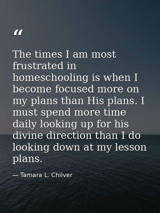 The times I am most frustrated in homeschooling is when I become focused more on my plans than His plans. I must spend m — Tamara L. Chilver