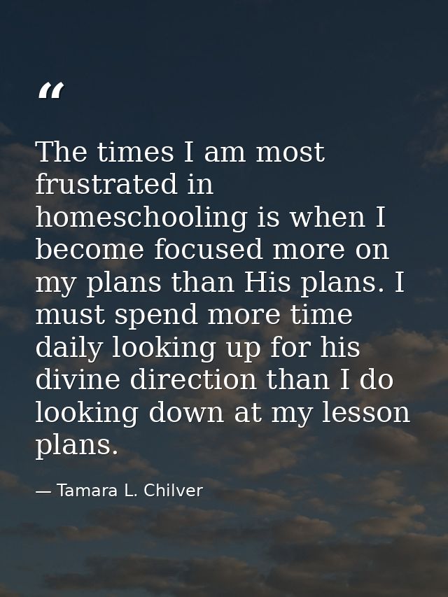 The times I am most frustrated in homeschooling is when I become focused more on my plans than His plans. I must spend m — Tamara L. Chilver