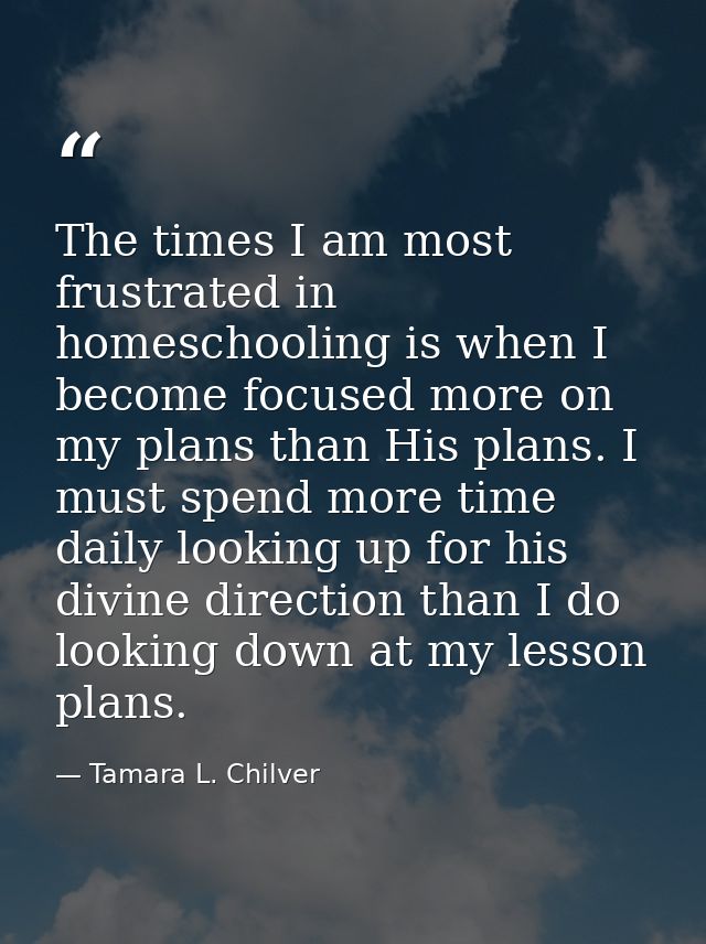 The times I am most frustrated in homeschooling is when I become focused more on my plans than His plans. I must spend m — Tamara L. Chilver
