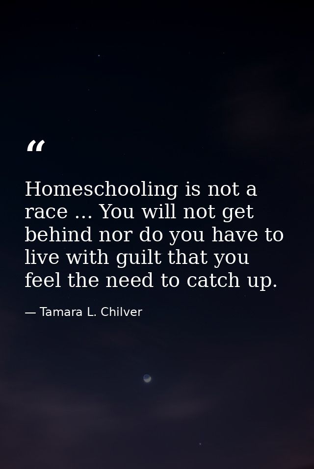 Homeschooling is not a race ... You will not get behind nor do you have to live with guilt that you feel the need to cat — Tamara L. Chilver