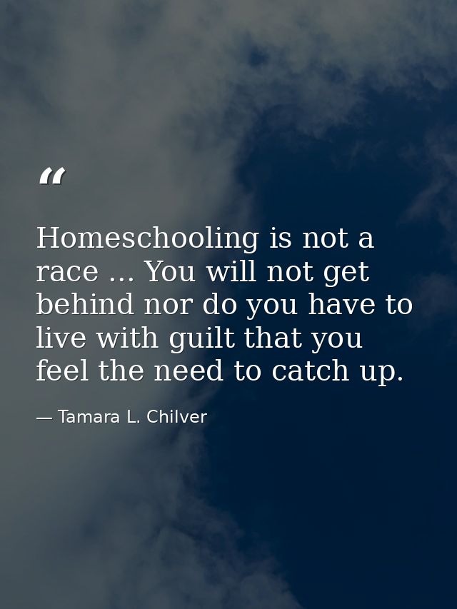 Homeschooling is not a race ... You will not get behind nor do you have to live with guilt that you feel the need to cat — Tamara L. Chilver