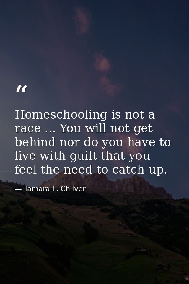 Homeschooling is not a race ... You will not get behind nor do you have to live with guilt that you feel the need to cat — Tamara L. Chilver