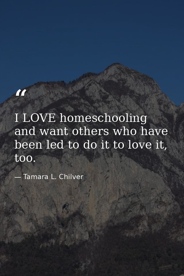 I LOVE homeschooling and want others who have been led to do it to love it, too. — Tamara L. Chilver