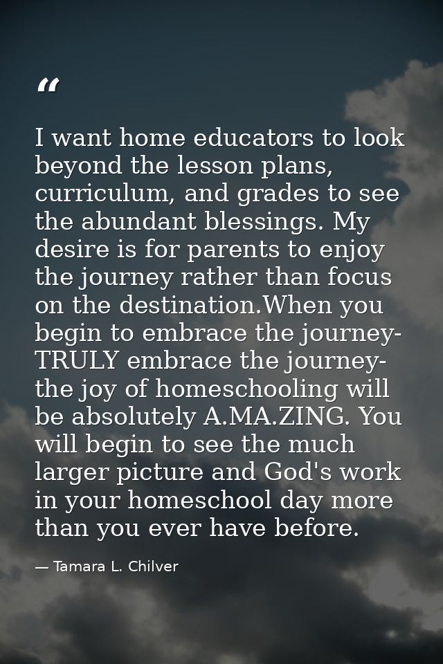 I want home educators to look beyond the lesson plans, curriculum, and grades to see the abundant blessings. My desire i — Tamara L. Chilver