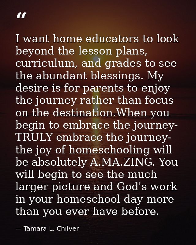 I want home educators to look beyond the lesson plans, curriculum, and grades to see the abundant blessings. My desire i — Tamara L. Chilver