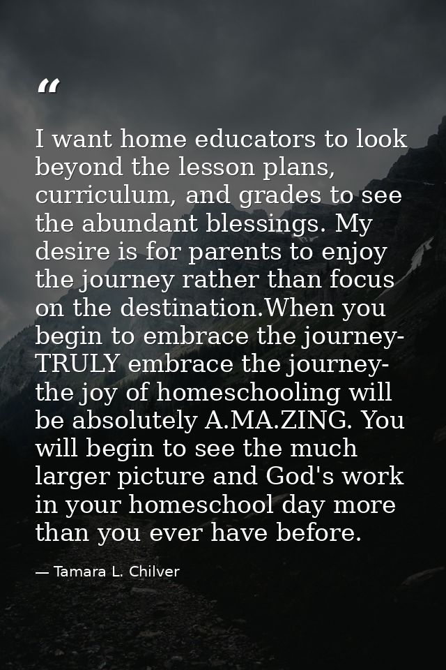 I want home educators to look beyond the lesson plans, curriculum, and grades to see the abundant blessings. My desire i — Tamara L. Chilver