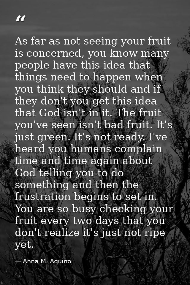 As far as not seeing your fruit is concerned, you know many people have this idea that things need to happen when you th — Anna M. Aquino