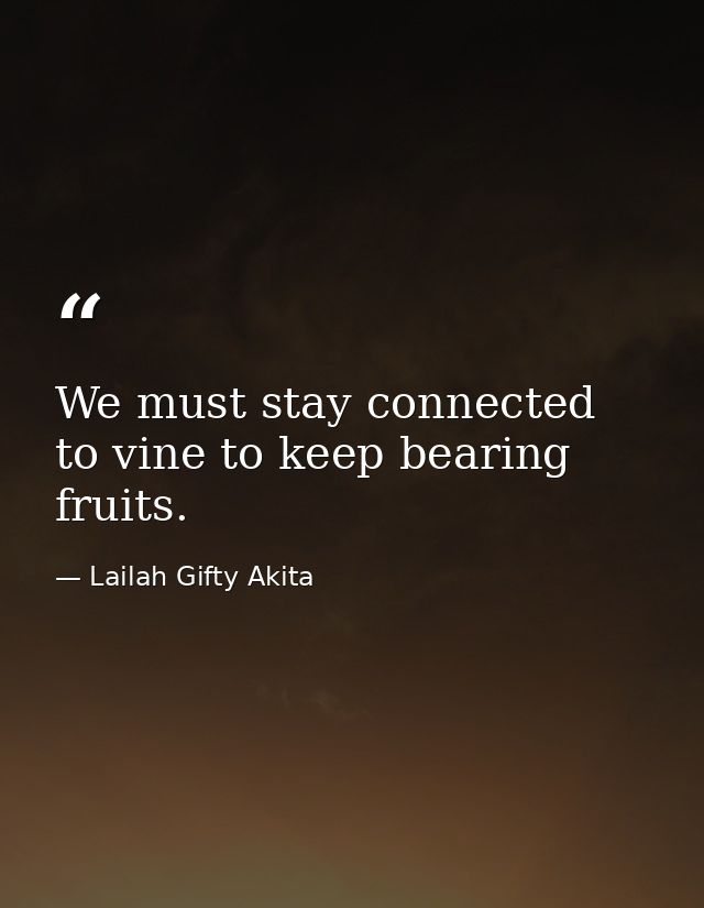 We must stay connected to vine to keep bearing fruits. — Lailah Gifty Akita
