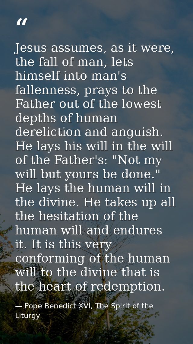 Jesus assumes, as it were, the fall of man, lets himself into man's fallenness, prays to the Father out of the lowest de — Pope Benedict XVI, The Spirit of the Liturgy