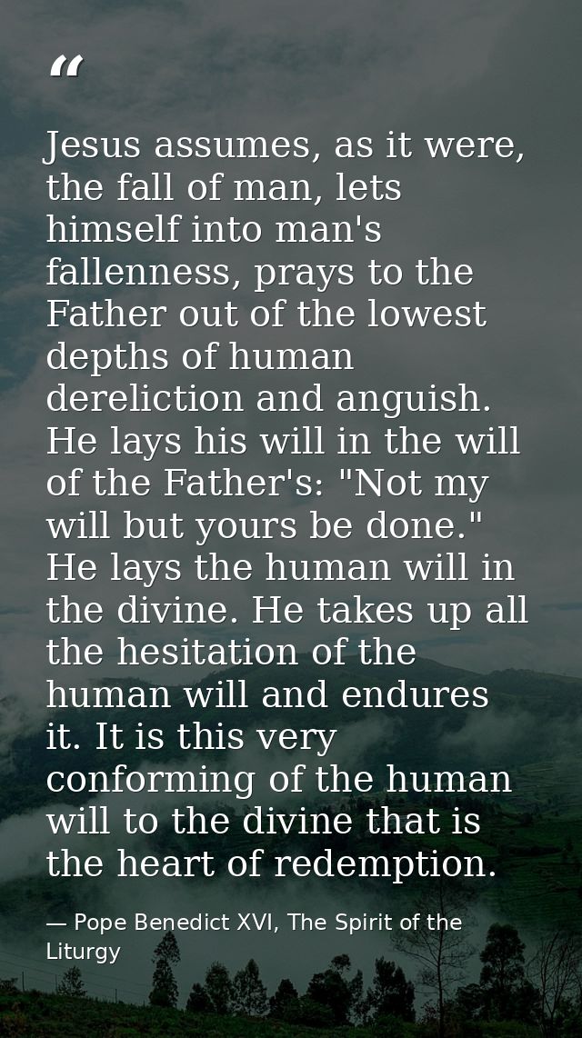 Jesus assumes, as it were, the fall of man, lets himself into man's fallenness, prays to the Father out of the lowest de — Pope Benedict XVI, The Spirit of the Liturgy