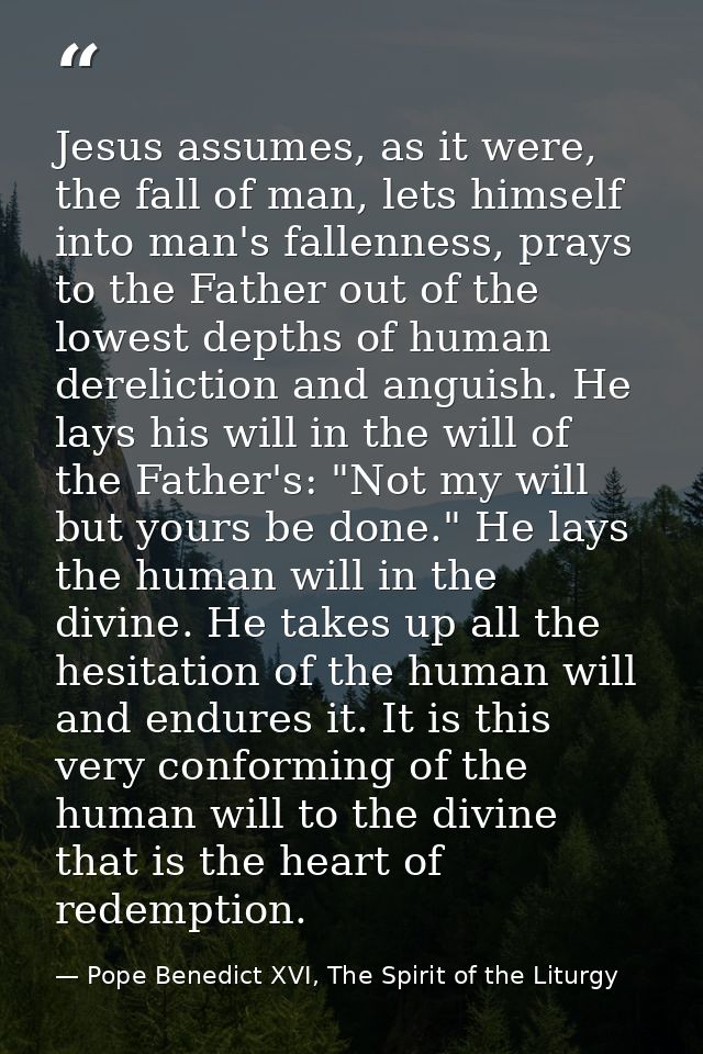 Jesus assumes, as it were, the fall of man, lets himself into man's fallenness, prays to the Father out of the lowest de — Pope Benedict XVI, The Spirit of the Liturgy