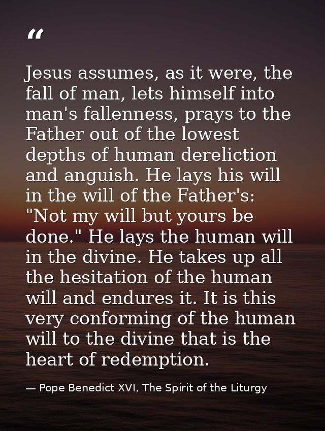 Jesus assumes, as it were, the fall of man, lets himself into man's fallenness, prays to the Father out of the lowest de — Pope Benedict XVI, The Spirit of the Liturgy