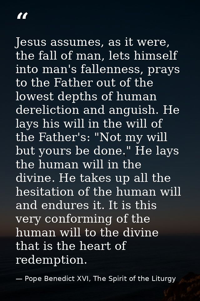 Jesus assumes, as it were, the fall of man, lets himself into man's fallenness, prays to the Father out of the lowest de — Pope Benedict XVI, The Spirit of the Liturgy