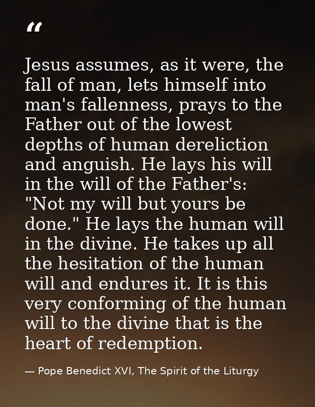 Jesus assumes, as it were, the fall of man, lets himself into man's fallenness, prays to the Father out of the lowest de — Pope Benedict XVI, The Spirit of the Liturgy
