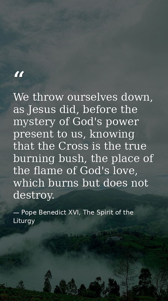 We throw ourselves down, as Jesus did, before the mystery of God's power present to us, knowing that the Cross is the tr — Pope Benedict XVI, The Spirit of the Liturgy
