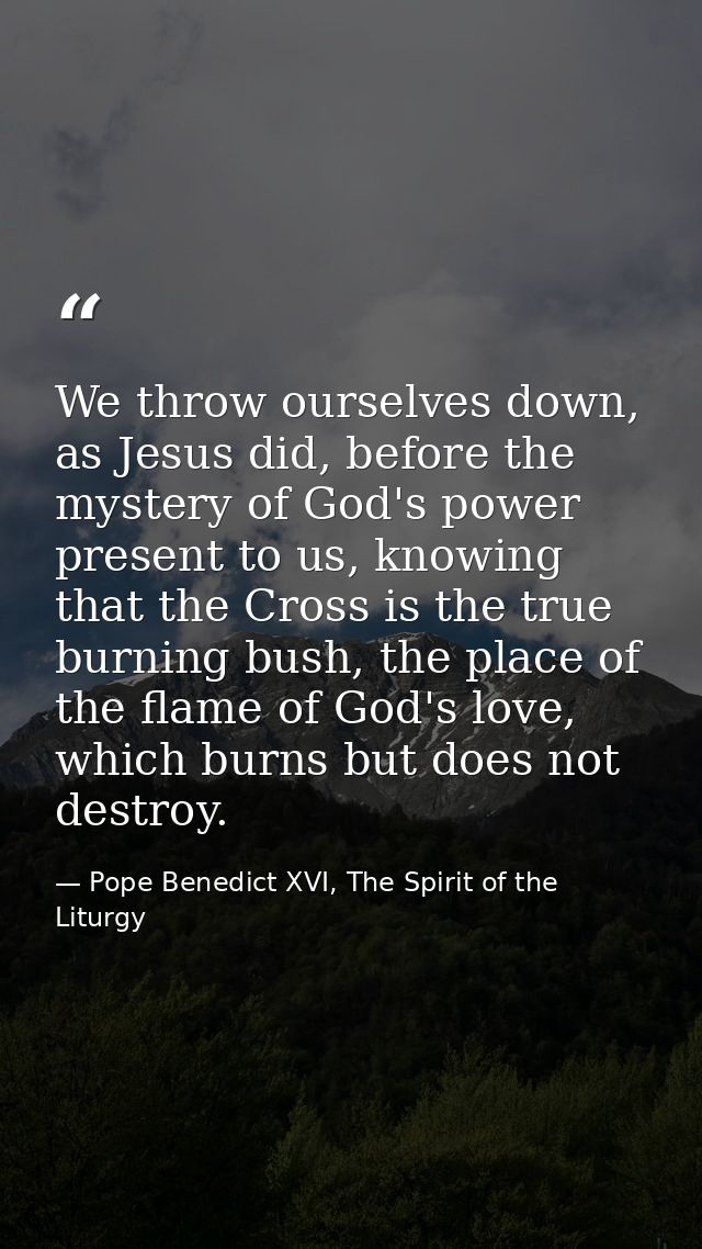 We throw ourselves down, as Jesus did, before the mystery of God's power present to us, knowing that the Cross is the tr — Pope Benedict XVI, The Spirit of the Liturgy