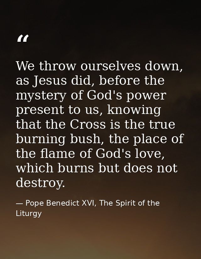 We throw ourselves down, as Jesus did, before the mystery of God's power present to us, knowing that the Cross is the tr — Pope Benedict XVI, The Spirit of the Liturgy