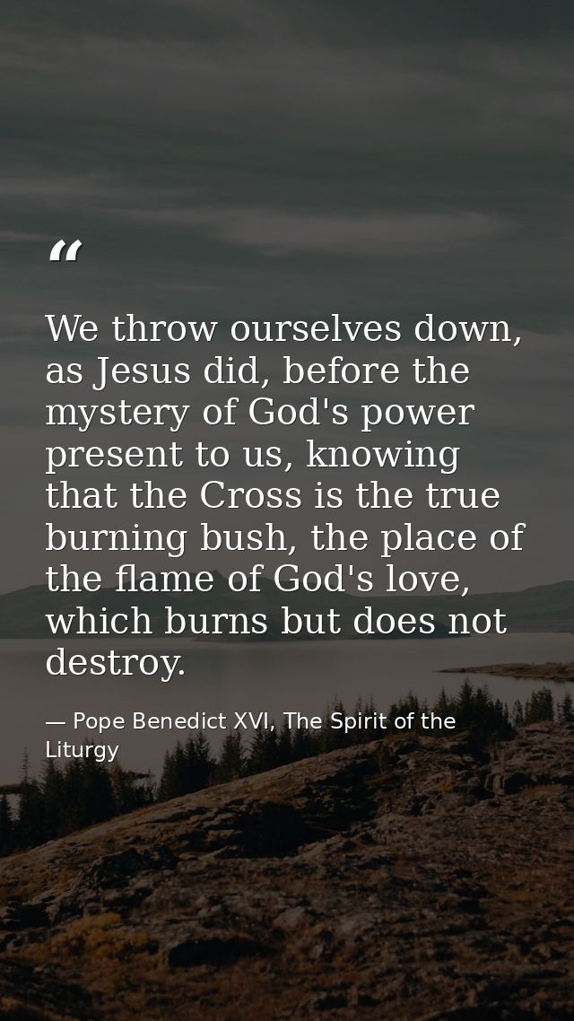 We throw ourselves down, as Jesus did, before the mystery of God's power present to us, knowing that the Cross is the tr — Pope Benedict XVI, The Spirit of the Liturgy