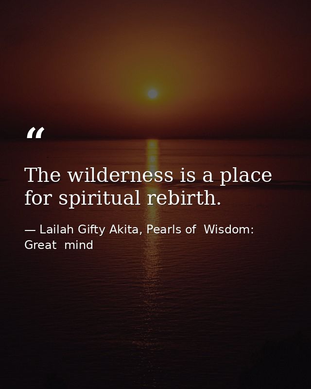 The wilderness is a place for spiritual rebirth. — Lailah Gifty Akita, Pearls of  Wisdom: Great  mind