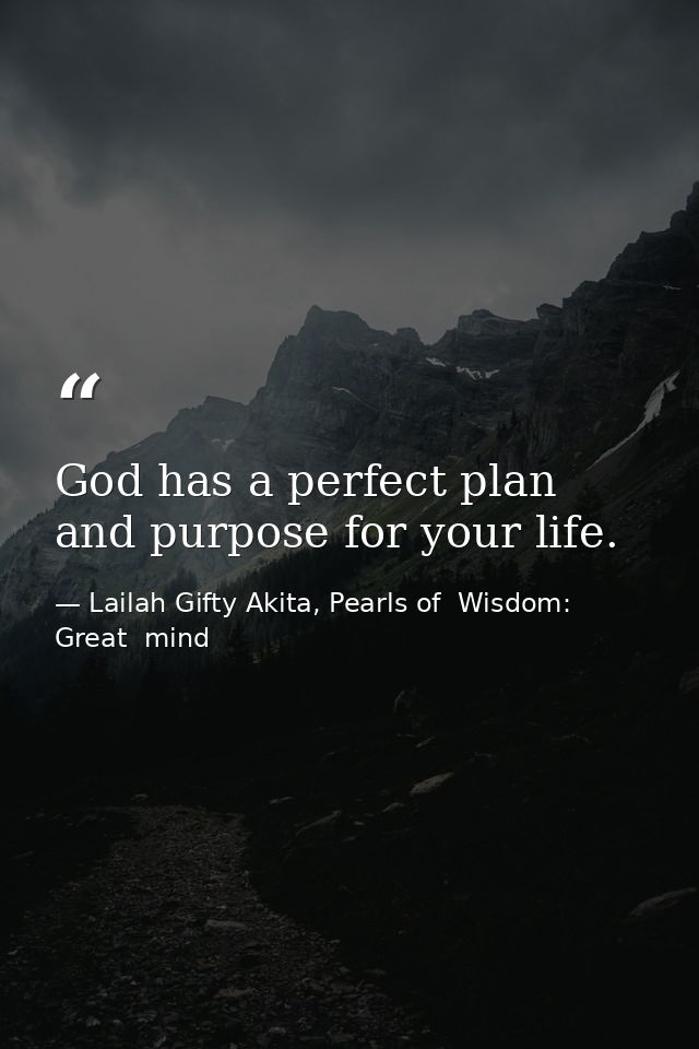God has a perfect plan and purpose for your life. — Lailah Gifty Akita, Pearls of  Wisdom: Great  mind