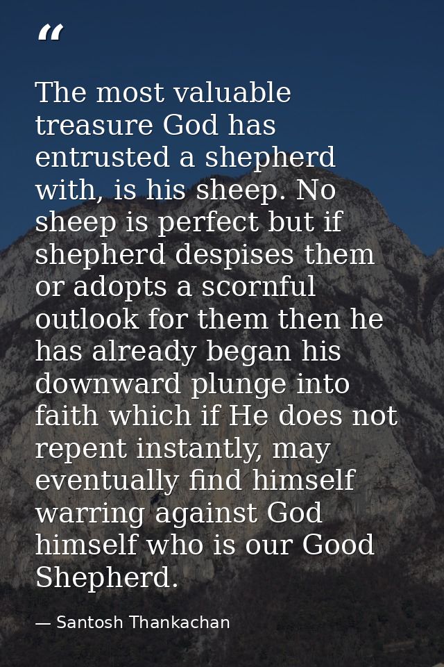 The most valuable treasure God has entrusted a shepherd with, is his sheep. No sheep is perfect but if shepherd despises — Santosh Thankachan