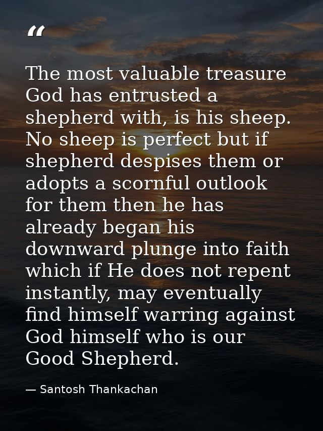 The most valuable treasure God has entrusted a shepherd with, is his sheep. No sheep is perfect but if shepherd despises — Santosh Thankachan