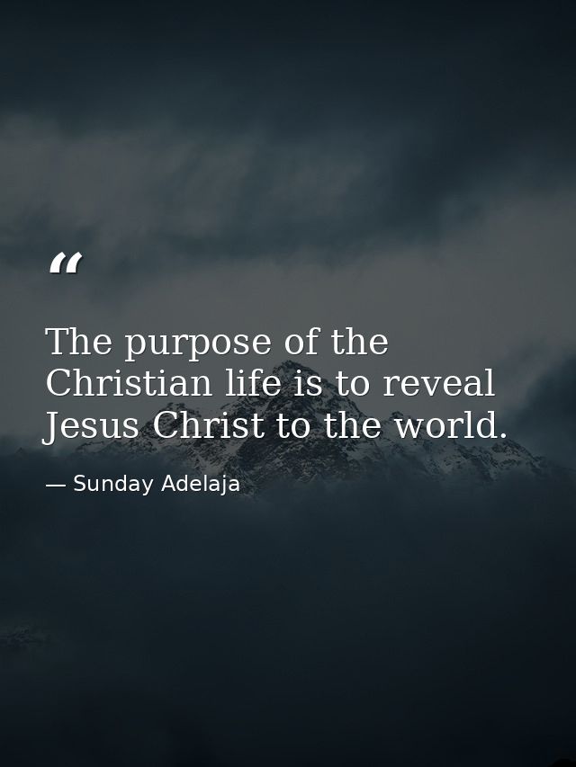 The purpose of the Christian life is to reveal Jesus Christ to the world. — Sunday Adelaja