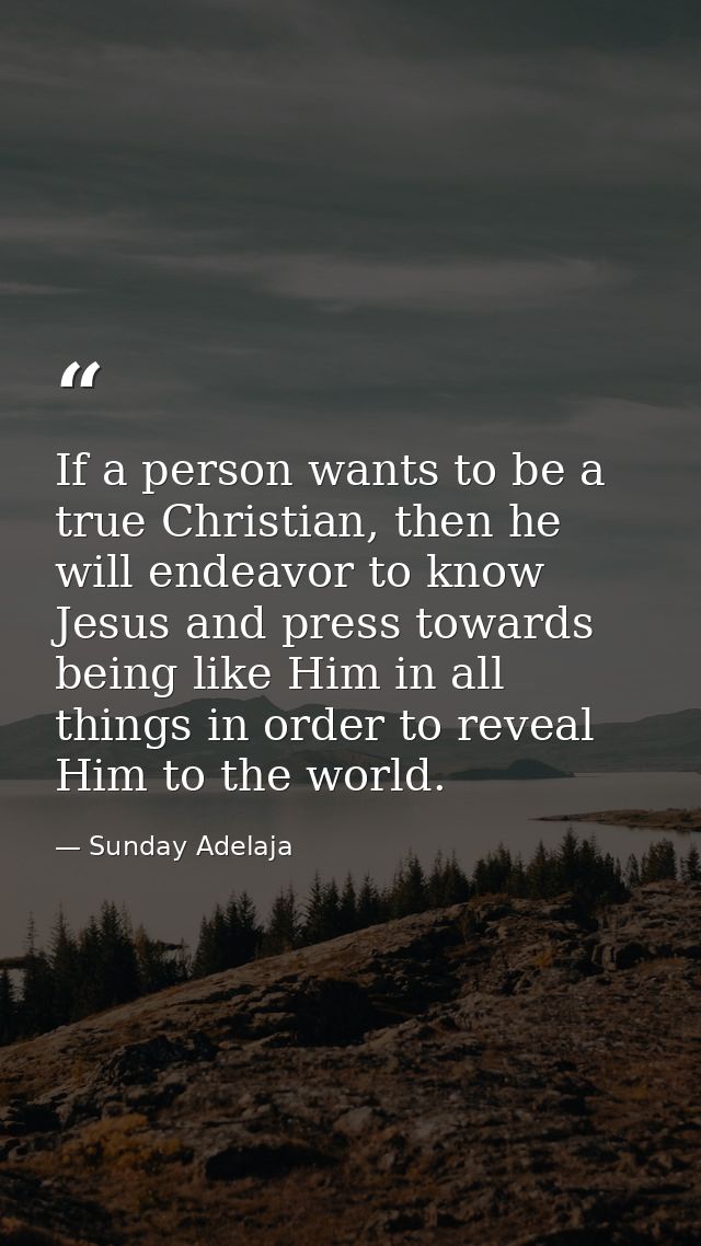 If a person wants to be a true Christian, then he will endeavor to know Jesus and press towards being like Him in all th — Sunday Adelaja