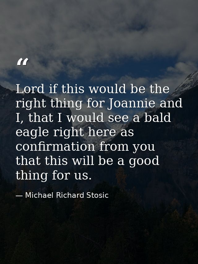 Lord if this would be the right thing for Joannie and I, that I would see a bald eagle right here as confirmation from y — Michael Richard Stosic