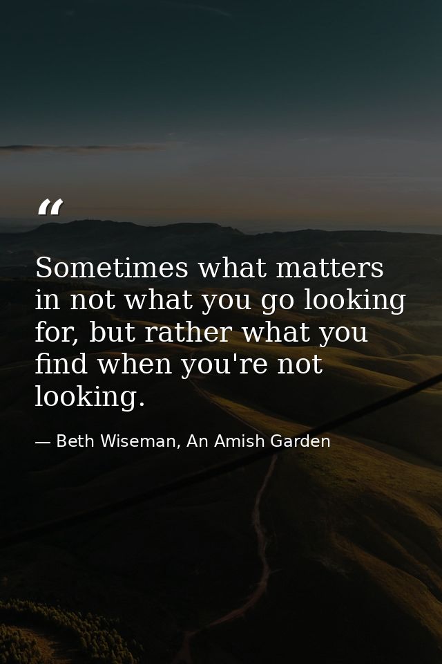 Sometimes what matters in not what you go looking for, but rather what you find when you're not looking. — Beth Wiseman, An Amish Garden