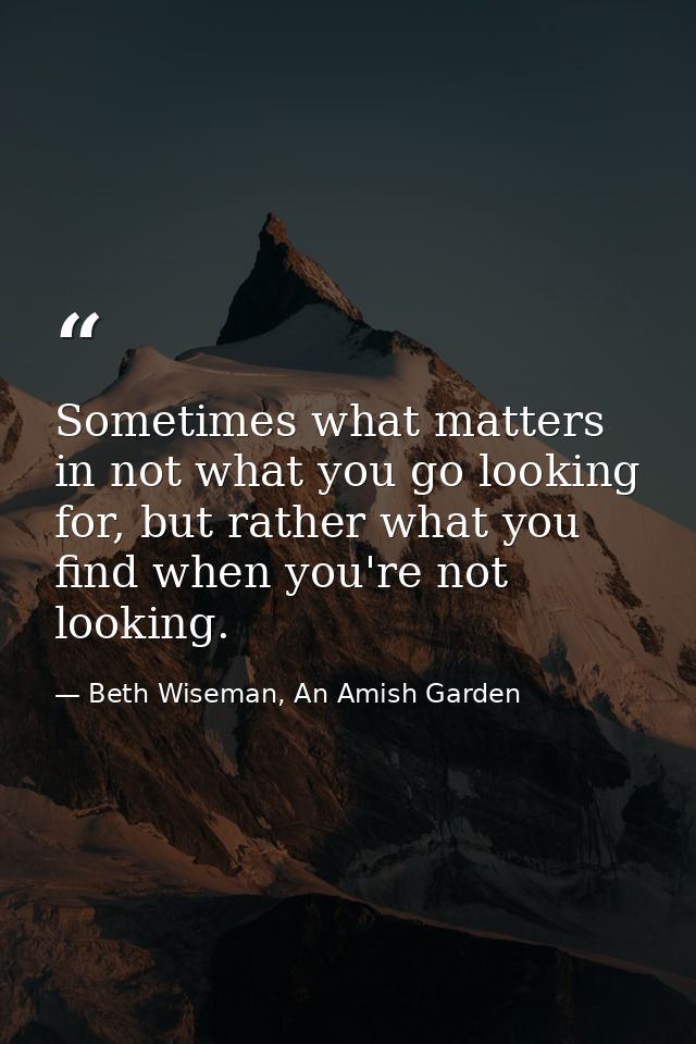 Sometimes what matters in not what you go looking for, but rather what you find when you're not looking. — Beth Wiseman, An Amish Garden