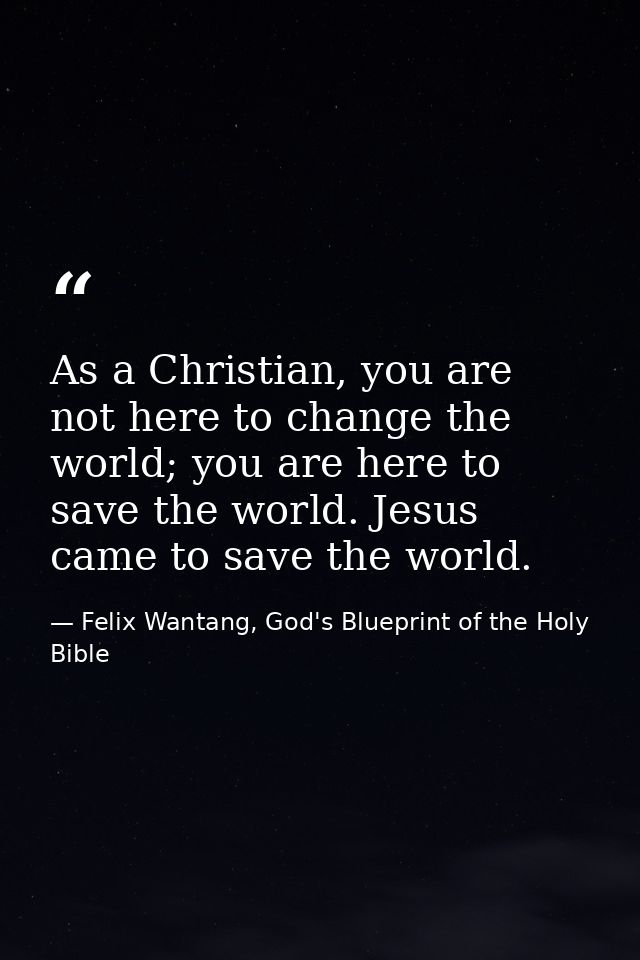 As a Christian, you are not here to change the world; you are here to save the world. Jesus came to save the world. — Felix Wantang, God's Blueprint of the Holy Bible