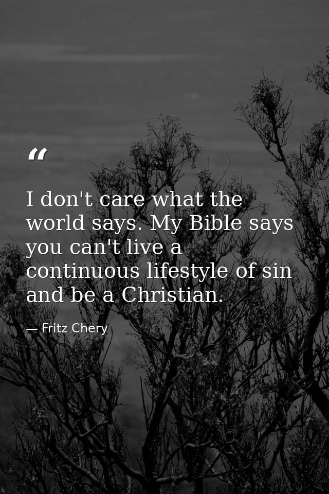 I don't care what the world says. My Bible says you can't live a continuous lifestyle of sin and be a Christian. — Fritz Chery